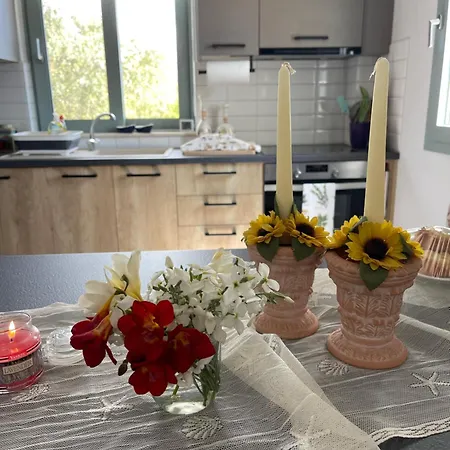 بيت للعطل Rose Garden Metaxáta