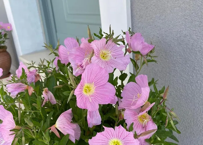 Ferienhaus Rose Garden *